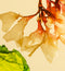 Close-up of seaweed with a beige background